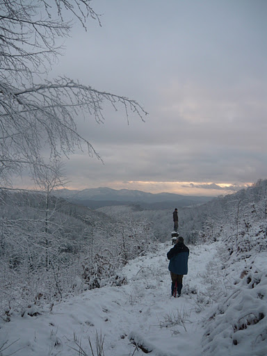 20111217 Zarándban barargolva 5600